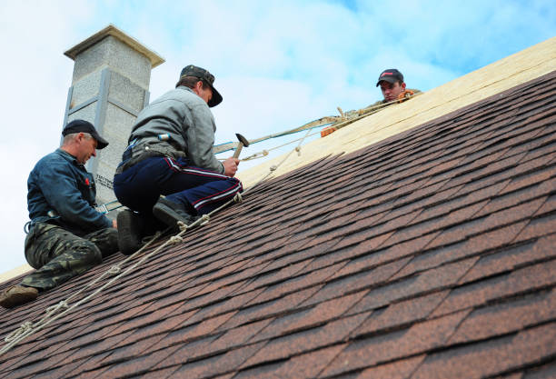 Gutter Installation and Roofing in Mercedes, TX