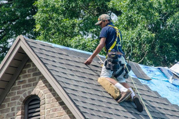 Best Shingle Roofing Installation  in Mercedes, TX