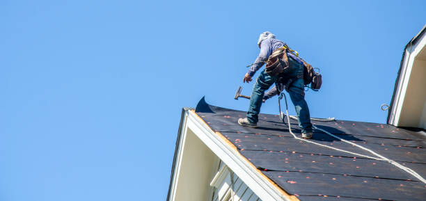 Best Residential Roofing Contractor  in Mercedes, TX